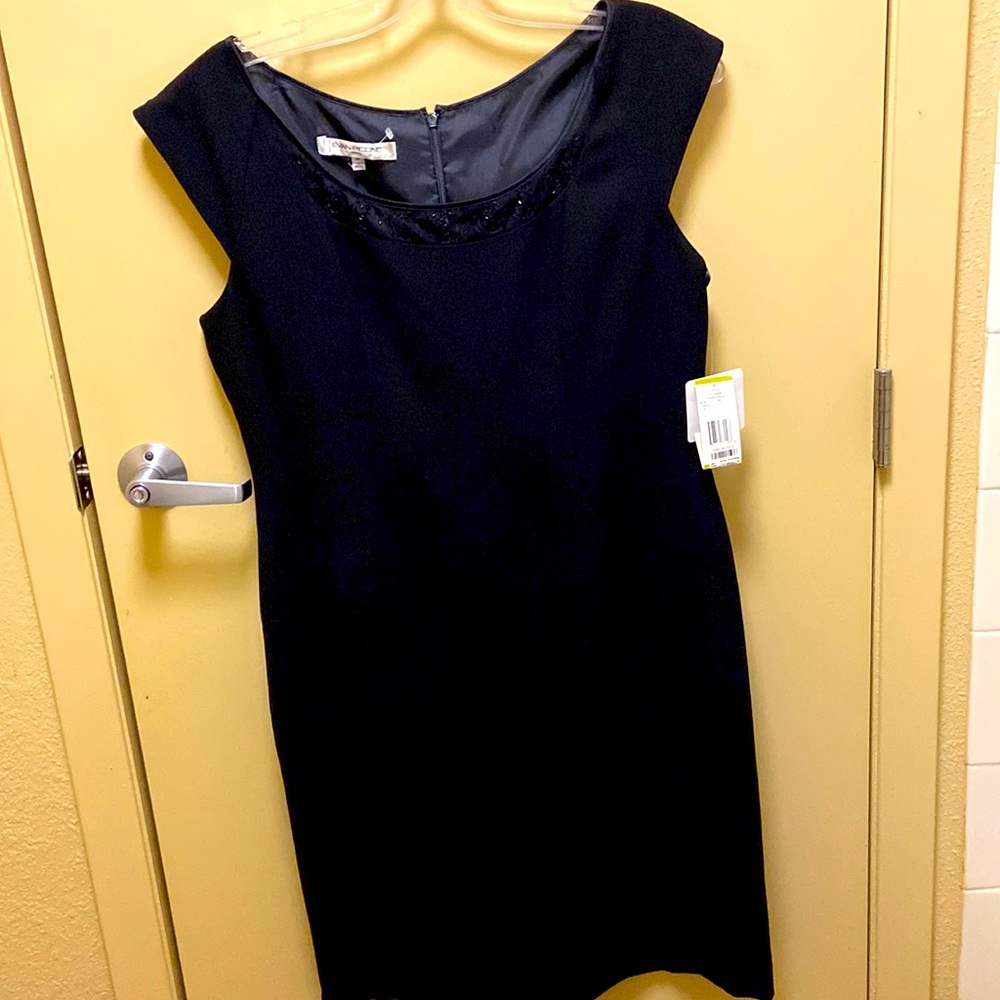 Evan Piccone Dress